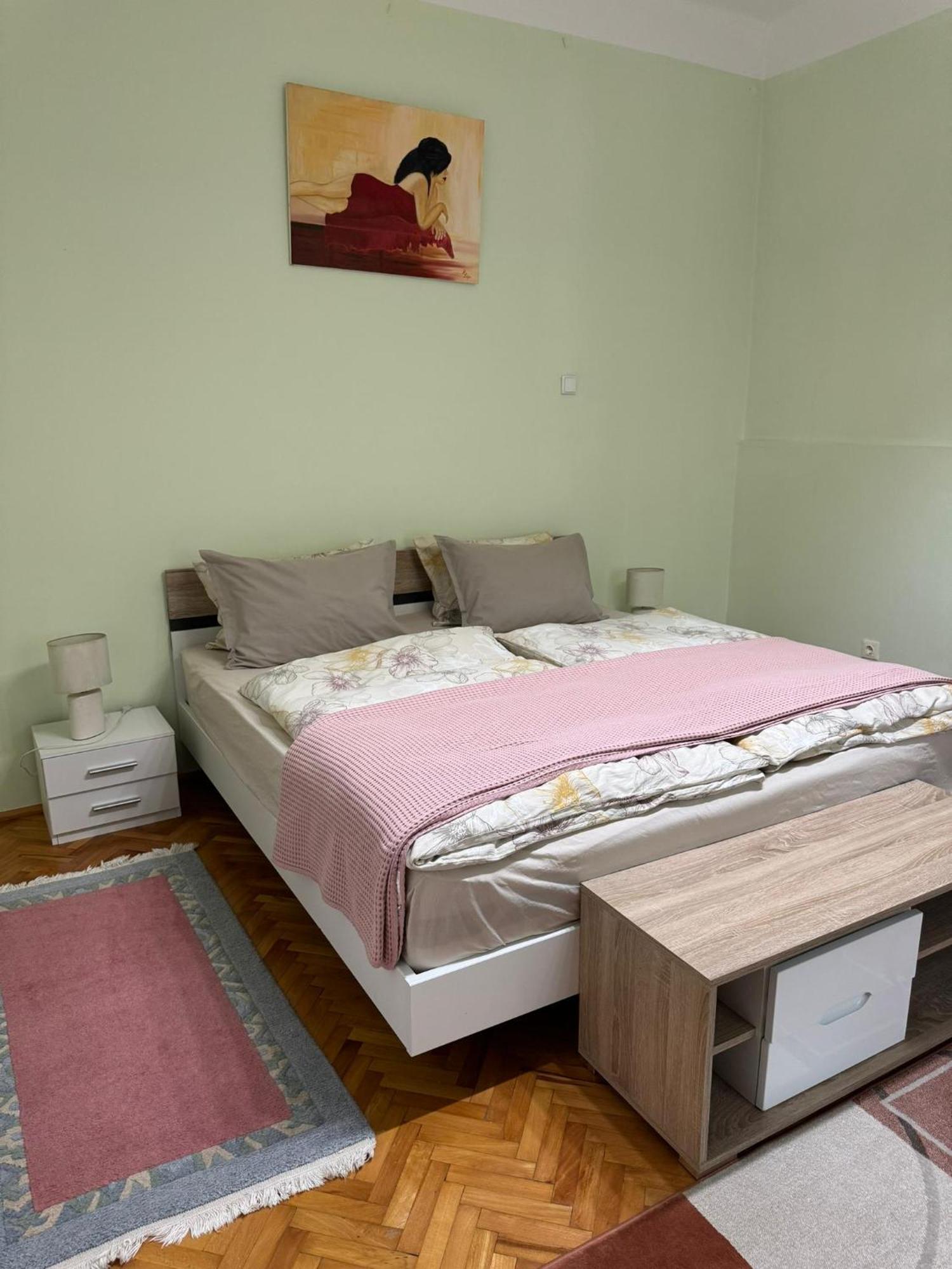 Apartament Victoria Timisoara Exterior photo
