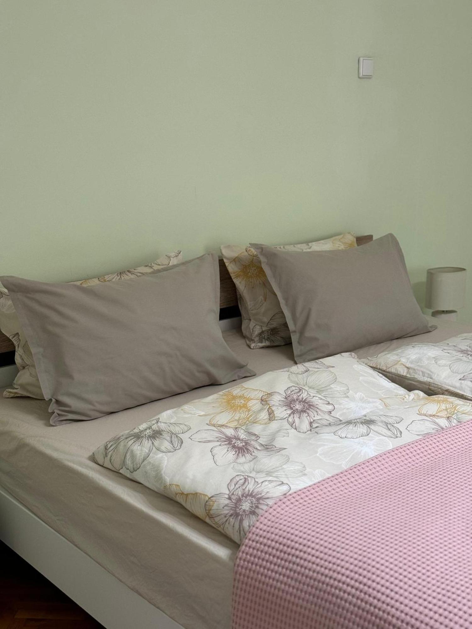 Apartament Victoria Timisoara Exterior photo